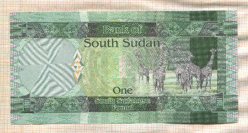 1 фунт. Южный Судан