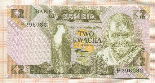 2 квача. Забия