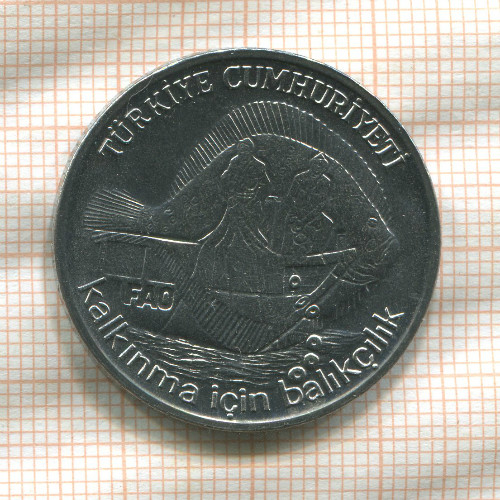 2 1/2 лиры. Турция. F.A.O. 1980г