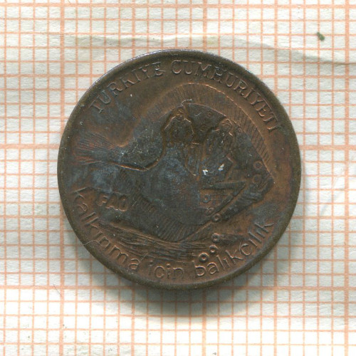 5 курушей. Турция. F.A.O. 1980г