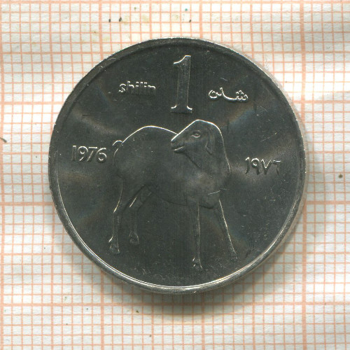 1 шиллинг. Сомали. F.A.O. 1976г