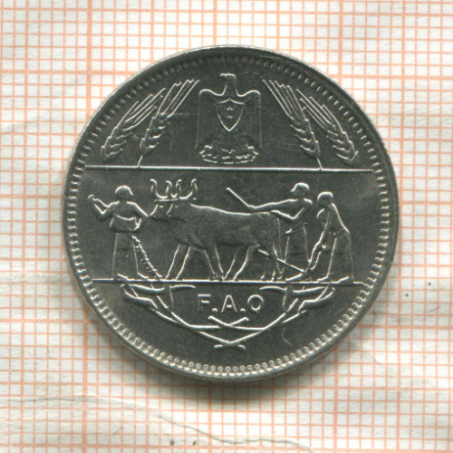 10 пиастров. Египет. F.A.O. 1980г