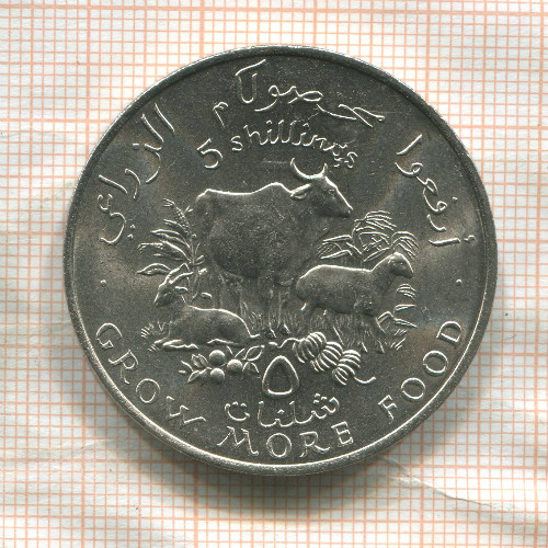 5 шиллингов. Сомали. F.A.O. 1970г