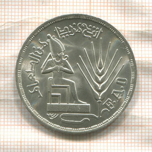 1 фунт. Египет. F.A.O. 1976г