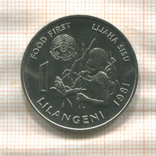 1 лилангени. Свазиленд. F.A.O. 1981г
