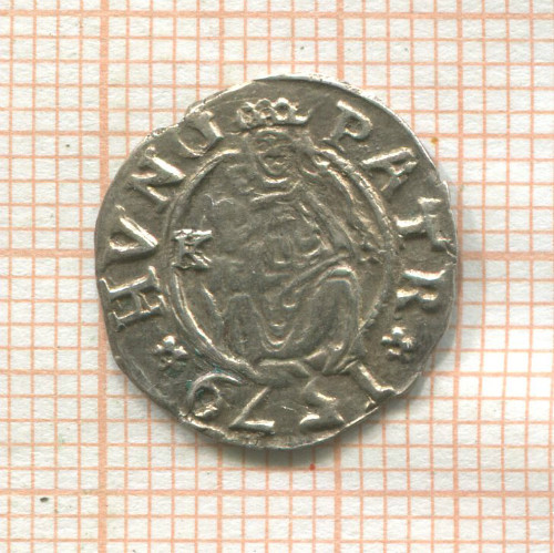 Денар. Венгрия. Рудольф II 1579г