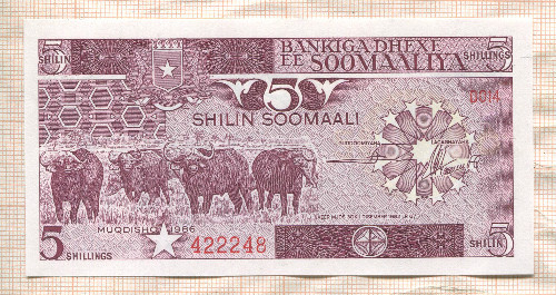 5 шиллингов. Сомали 1986г