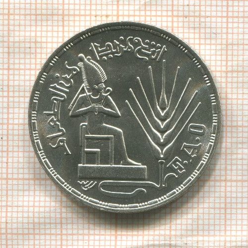 1 фунт. Египет. F.A.O. 1976г