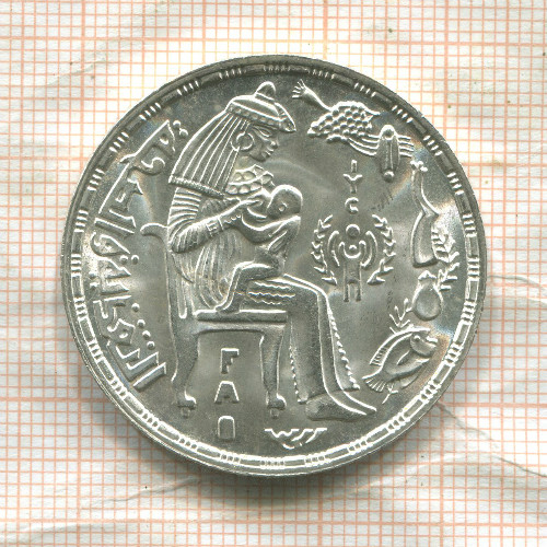 1 фунт. Египет. F.A.O. 1979г
