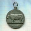 Медаль агропромышленной выставки. Бельгия 1963г