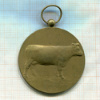 Медаль агропромышленной выставки. Бельгия 1953г