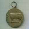 Медаль министерства сельского хозяйства. Бельгия 1960г