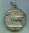 Медаль. Королевское общество коневодства. Бельгия 1950г