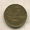 20 грошей. Польша 1949г
