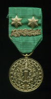 Золотая медаль "За доблестный труд". Национальная федерация бывших военнопленных . Бельгия