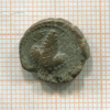 Локрис. Опунтия. 338-300 г. до н.э. Афина/виноград