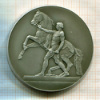Настольная медаль "Скульптурная группа на Аничковом мосту"