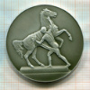 Настольная медаль "Скульптурная группа на Аничковом мосту"
