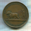 Настольная медаль "ЗА ПОЛЕЗНОЕ. От Кавказского общества сельского хозяйства" 1889г