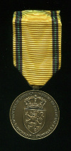 Памятная медаль зарубежных миссий и операций. Бельгия