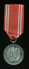 Серебряная медаль "За заслуги при защите страны" Польша