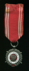 Серебряная медаль "Вооруженные Силы на службе Отчизне" (10 лет службы). Польша