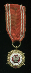 Золотая медаль "Вооруженные Силы на службе Отчизне" (20 лет службы). Польша