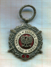 Серебряная медаль "Вооруженные Силы на службе Отчизне" (10 лет службы). Польша