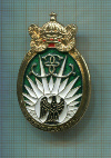 Полковой знак. 13-й Парашютный Драгунский полк. Франция