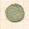 Денар. Венгрия. Максимиллиан II 1570г