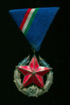 Медаль Общественной Безопасности (серебро). Венгрия