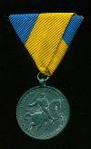 Медаль Южной Венгрии