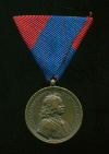 Медаль Верхней Венгрии
