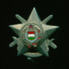Знак Армия Венгрия Звезда KHT