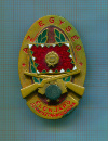 Нагрудный знак "Отличный командир отделения". Венгрия