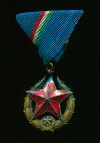 Медаль Общественной Безопасности. Венгрия