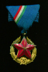 Медаль Общественной Безопасности. Венгрия
