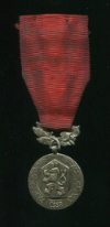 Медаль "За заслуги в защите Власти"