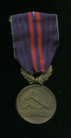 Медаль "За отличную работу". Чехословакия