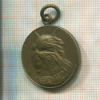 Медаль королевского собачьего клуба. Брюссель. Бельгия