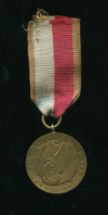 Бронзовая медаль "За заслуги при защите страны". Польша