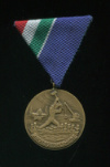 Медаль за борьбу с наводнением. Венгрия