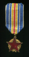 Медаль "За ранение". Франция