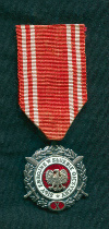 Медаль "Вооруженные силы на службе отчизне"
Польша