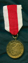 Медаль "За заслуги в защите Родины"
Польша