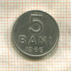 5 бани. Румыния 1966г