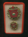 Нагрудный знак "Социалистическая бригада". Венгрия. С миниатюрой в оригиальном футляре
