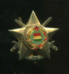 Воинский знак. Венгрия
