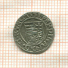 Денар. Венгрия. Фердинанд I 1551г