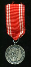Серебряная медаль "За Заслуги при Защите Страны" Польша